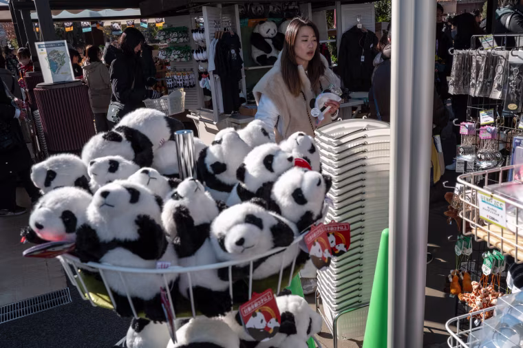 Stuffed toy panda souvenirs for sale during the final day for public viewing.