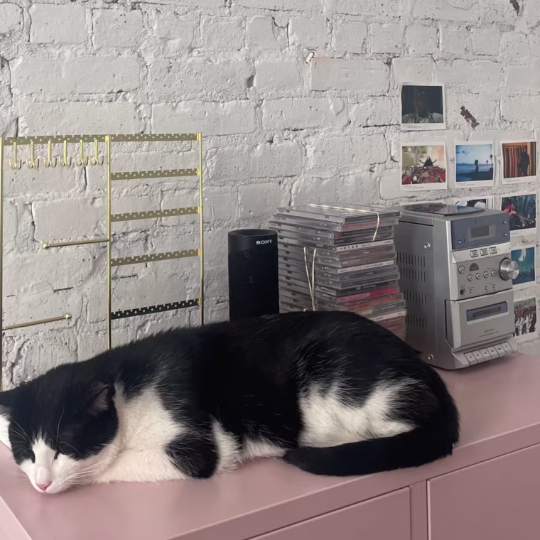 A black and white cat sitting on a pink cabinet beside a CD player and gold jewelry stand.