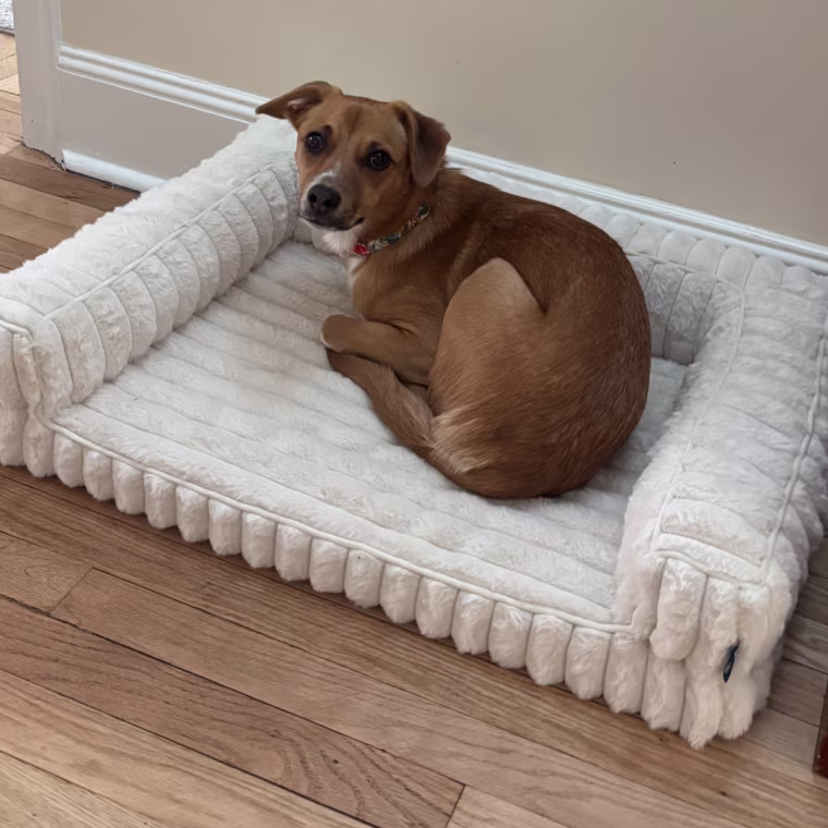 A brown and white dog on a white Bedsure ComfyFleece Pet Sofa.