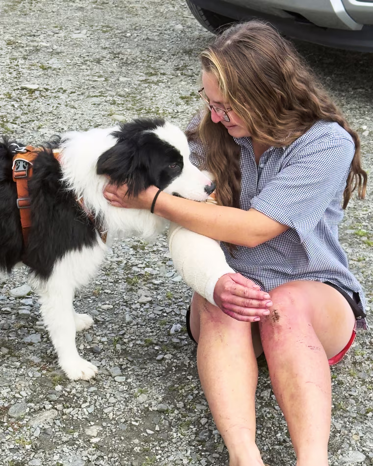New Zealand Dog Rescue