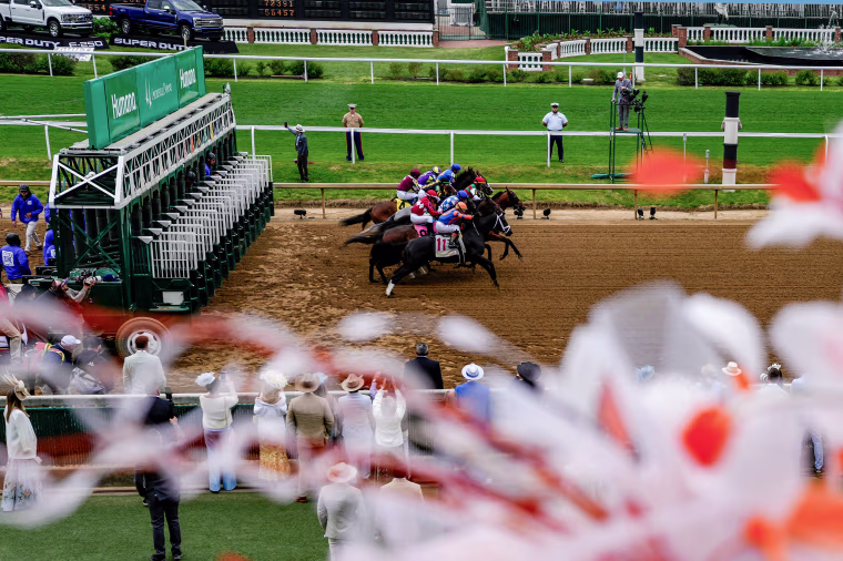 Horses take off from the starting gate.