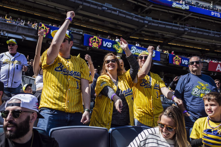 Fans cheer during a Savannah Bananas baseball game.