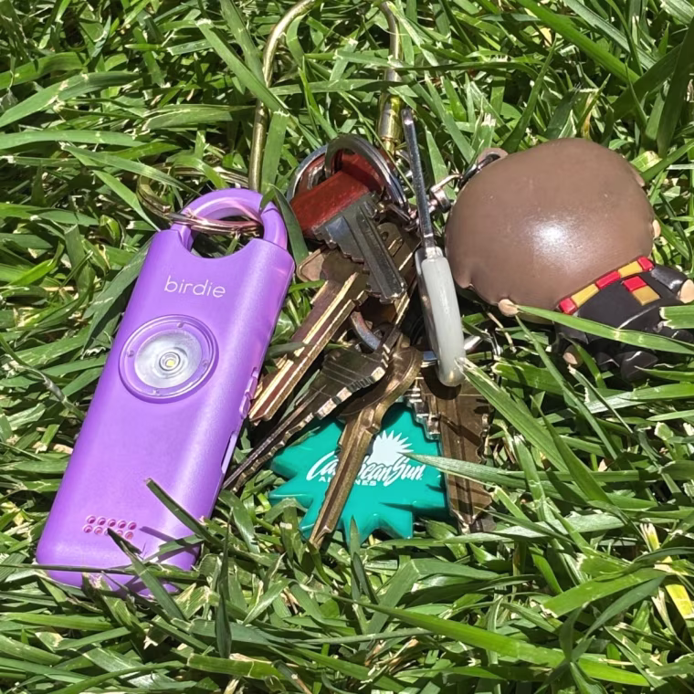 The Birdie alarm on a keychain, in a field of grass.