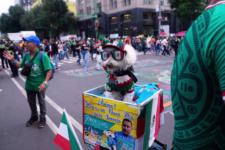 Mexico WCup Soccer Reaction