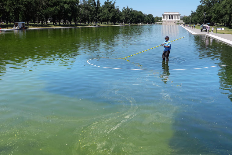 A National Park Service employee uses a vacuum pump to clean algae off the bottom of the newly repainted Lincoln Memorial Reflecting Pool on the National Mall on June 16, 2026 in Washington.