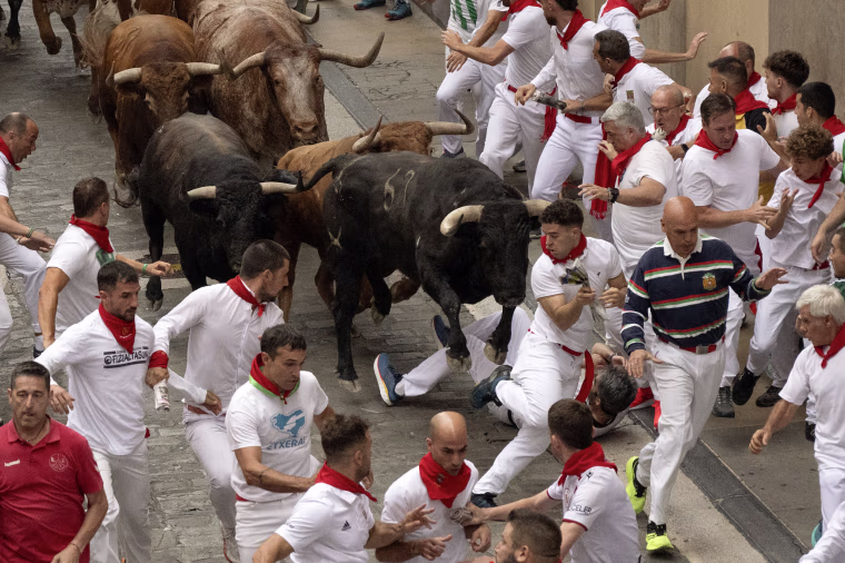 People dressed in white with red neckerchiefs run from bulls on the brick streets of Pamplona.