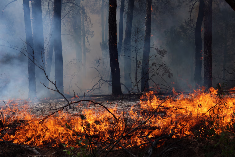 SPAIN-WILDFIRE-EMERGENCY-GOVERNMENT-CLIMATE