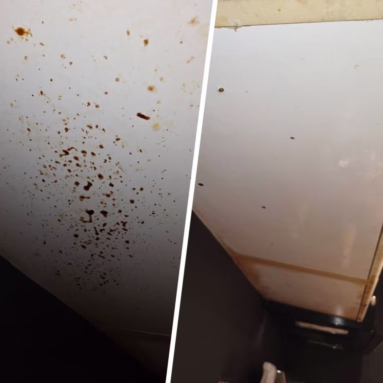 The Lysol degreaser easily tackled the caked no grease under this cabinet.