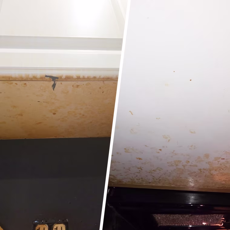 The Pink Stuff removed almost all of the caked-on grease that lived under this cabinet.