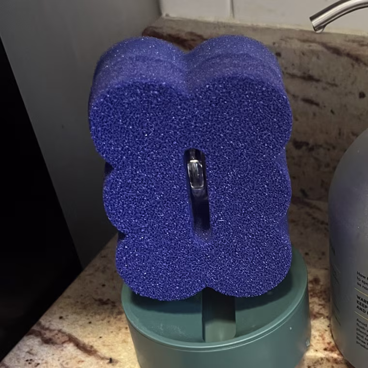 This sponge from Scotch-Brite comes with a stand that facilitates drying time for the sponge.