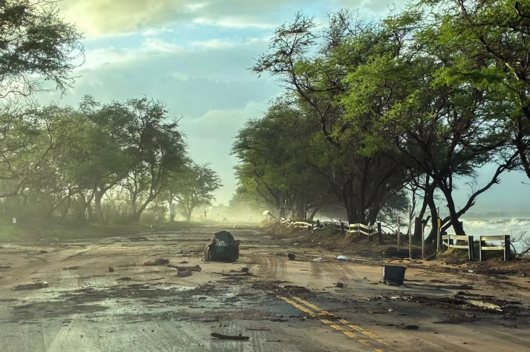 Aftermath of hurricane Lowell, in Maui, Hawaii.