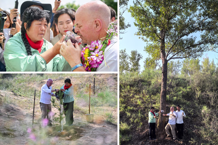 From top left clockwise, Yin introduces agricultural products to Sakolsky at her home, Yin and Bai show Sakolsky a tree they planted 26 years ago, and Sakolsky and Yin water a newly planted sapling in the Mu Us Desert.