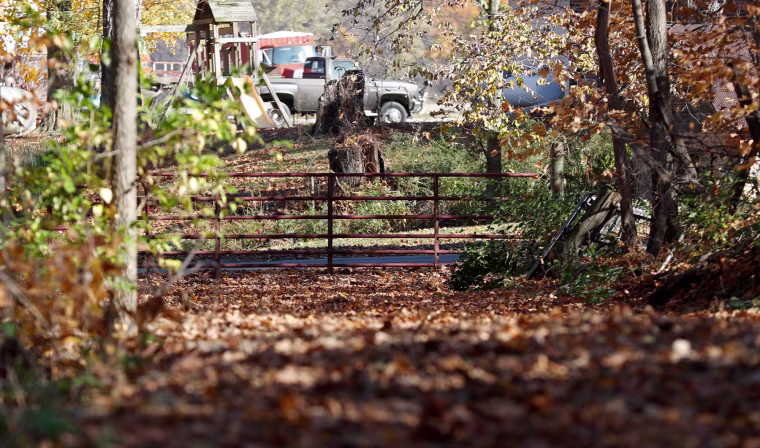 A gate seen in a forest