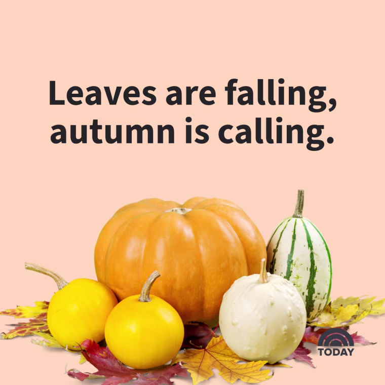 Fall Captions