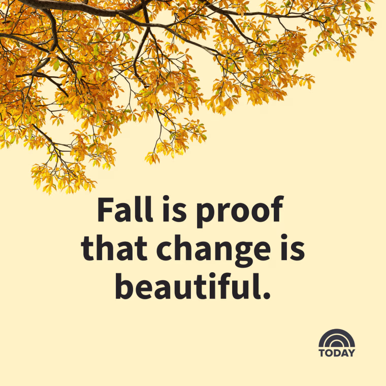 Fall Captions