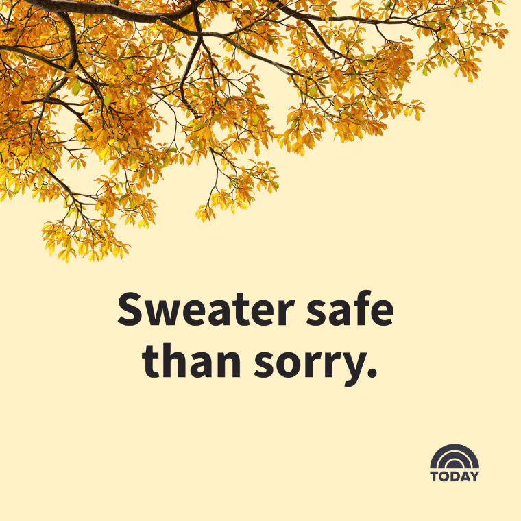 Fall Captions