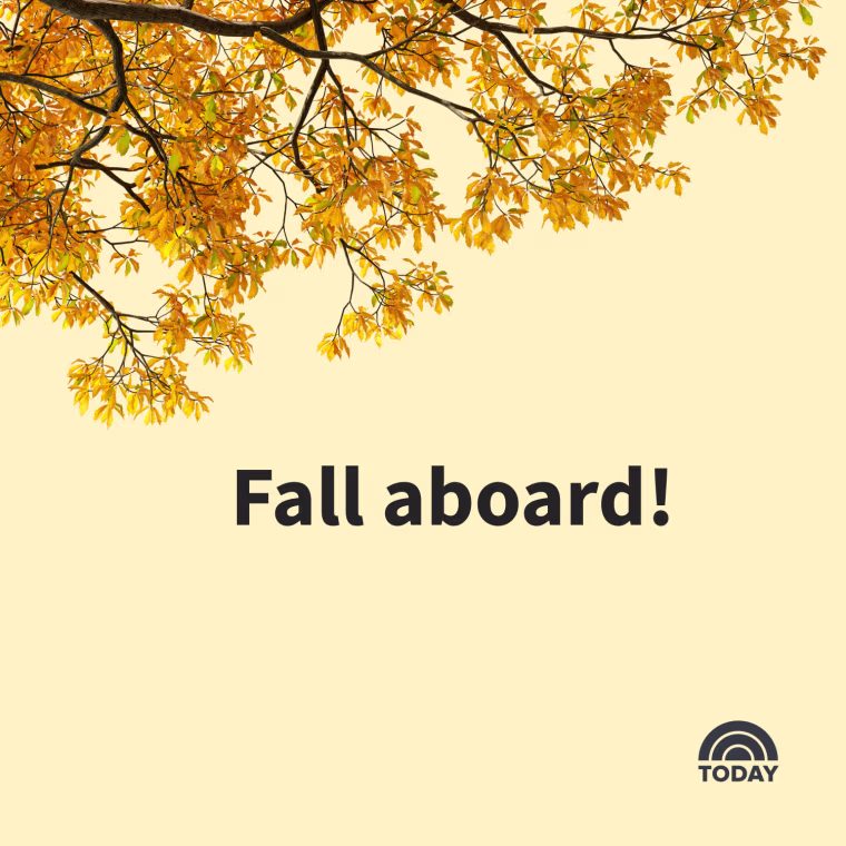 Fall Captions