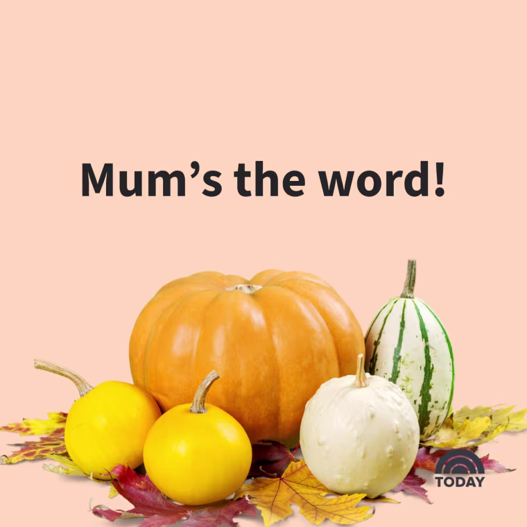 Fall Captions