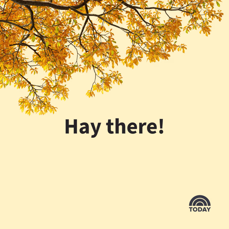 Fall Captions