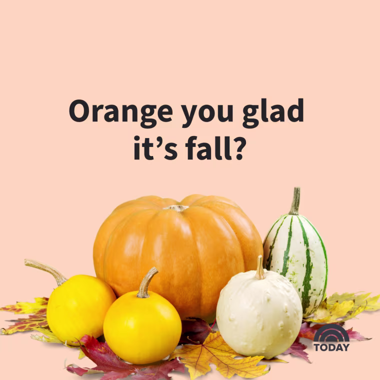 Fall Captions