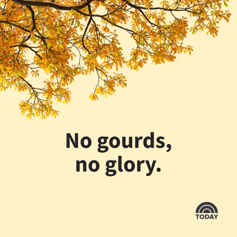 Fall Captions