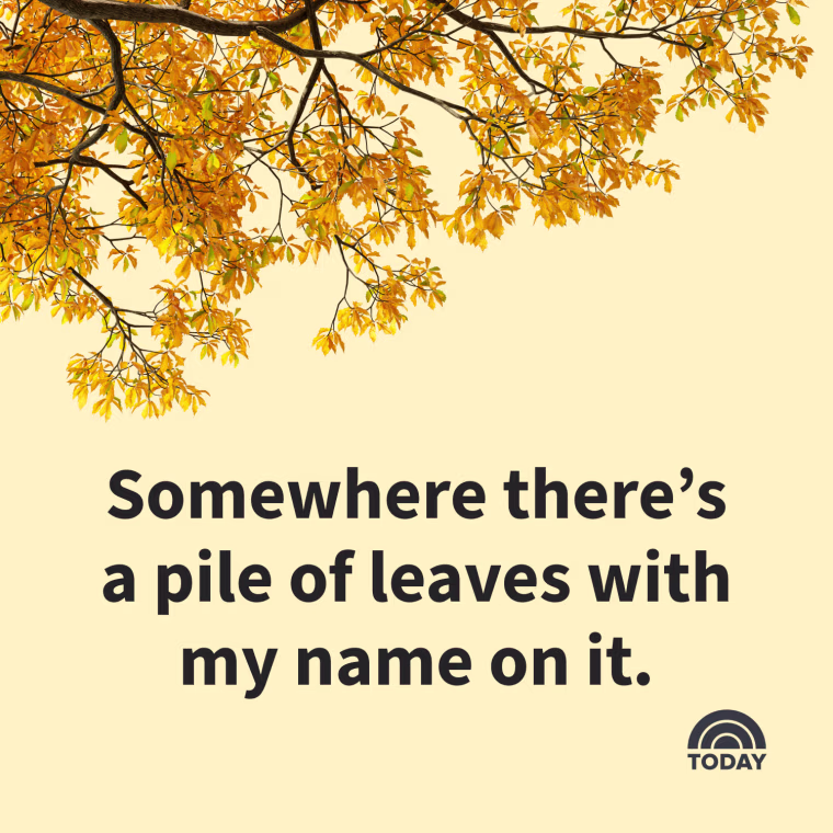 Fall Captions