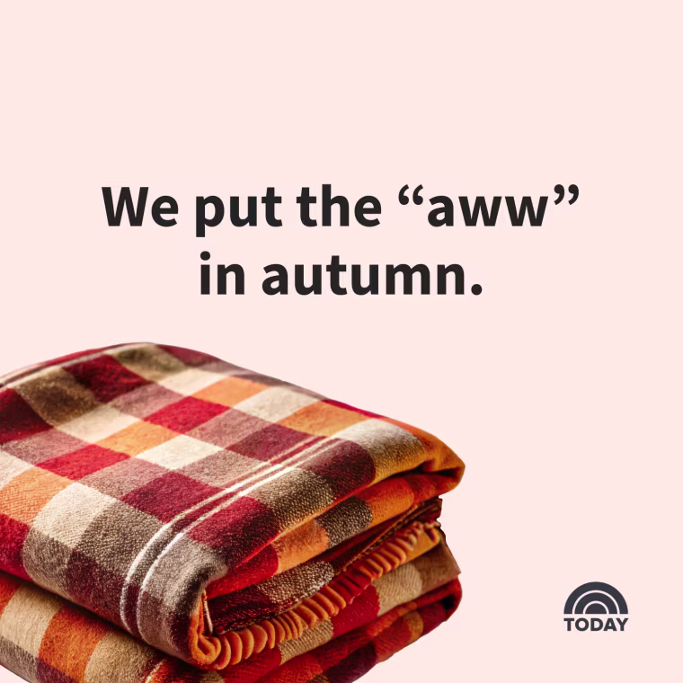 Fall Captions