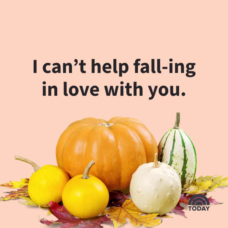 Fall Captions