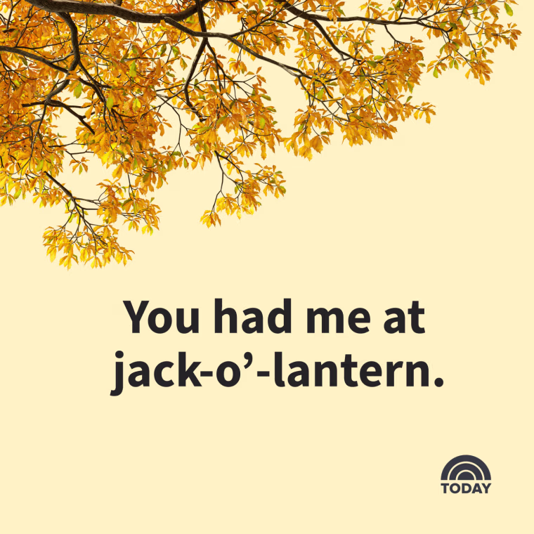 Fall Captions