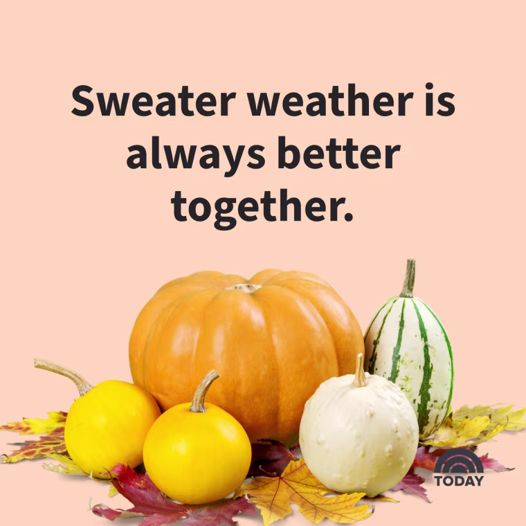 Fall Captions