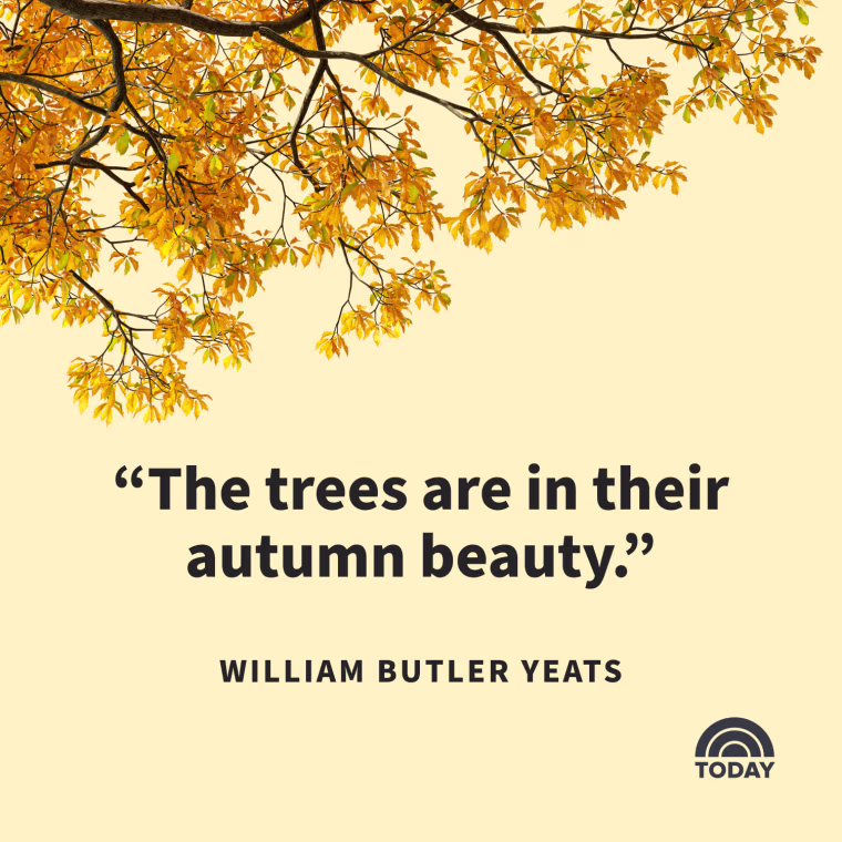 Fall Captions