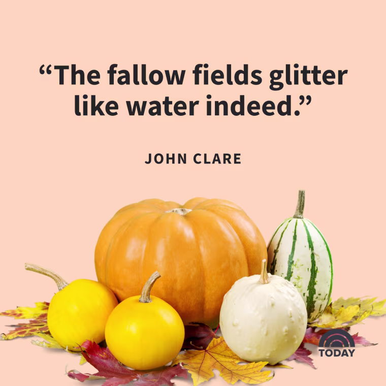 Fall Captions