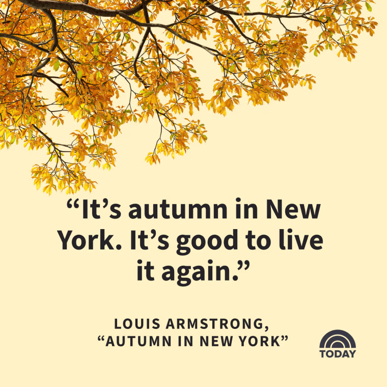 Fall Captions