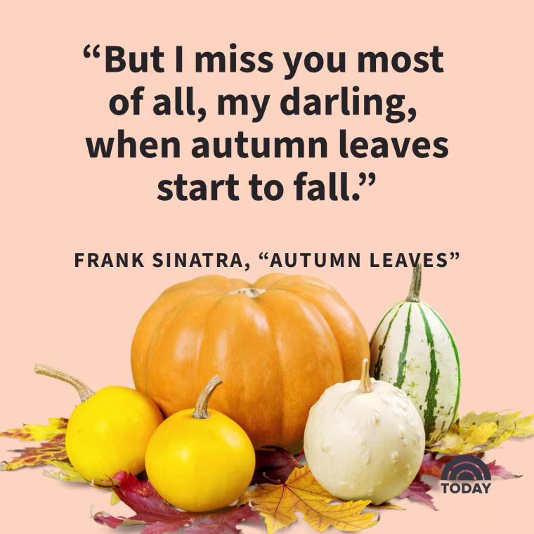 Fall Captions