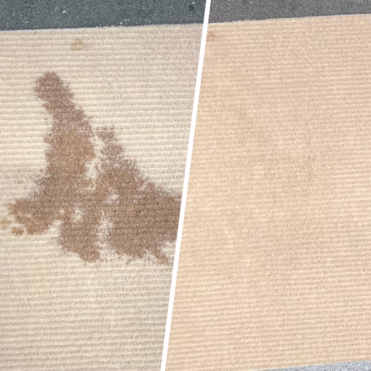 Before (left) and after (right) using the Shark StainStriker on an animal urine stain.
