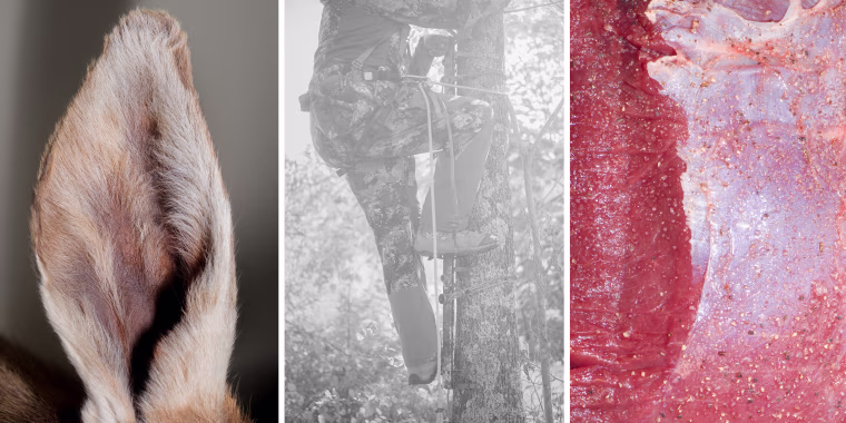 Triptych showing a deer ear, a hunter and a close-up of meat.