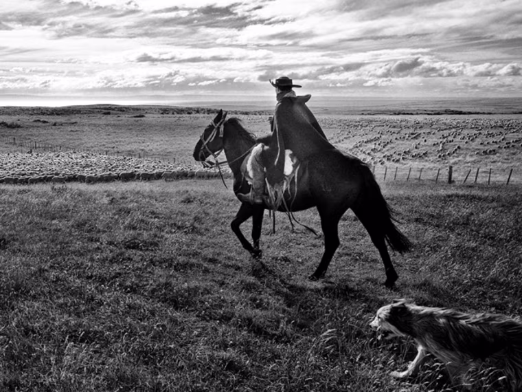 From Colombians fleeing war to North Americans retirees moving to Nicaragua, a photographer's journey from Chile to Alaska explores both the expected and unexpected patterns of migration in the Americas