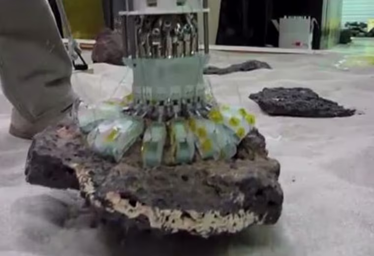Image of the robotic gripper