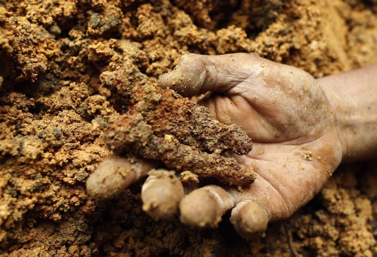 Mr Sim holds two coffin nails found when exhuming a grave at Bukit Brown cemetery.