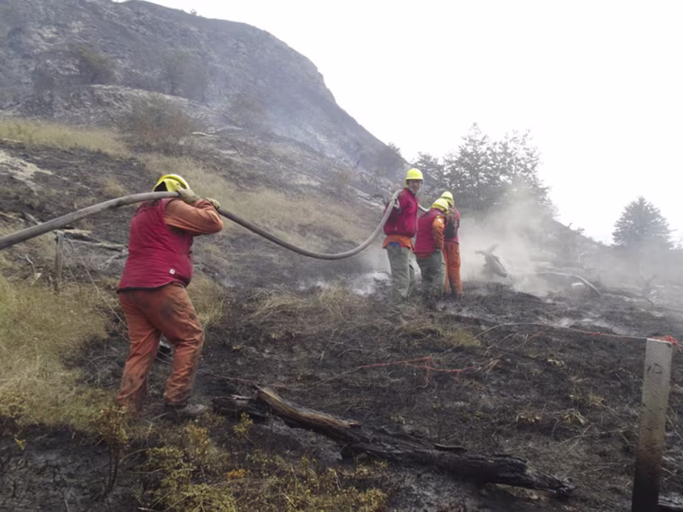 Firefighters from neighboring Argentina help battle Chile's Torres del Paine wildfire on Friday.