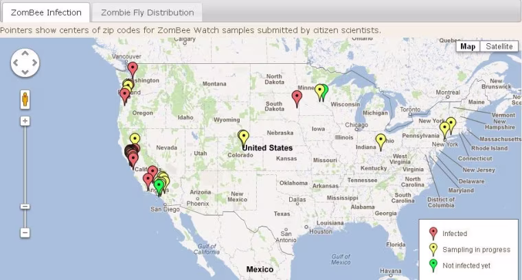 ZombeeWatch.org, managed by John Hafernik at San Francisco State University, solicits information from citizen scientists, beekeepers and enthusiasts to track zombie bees.