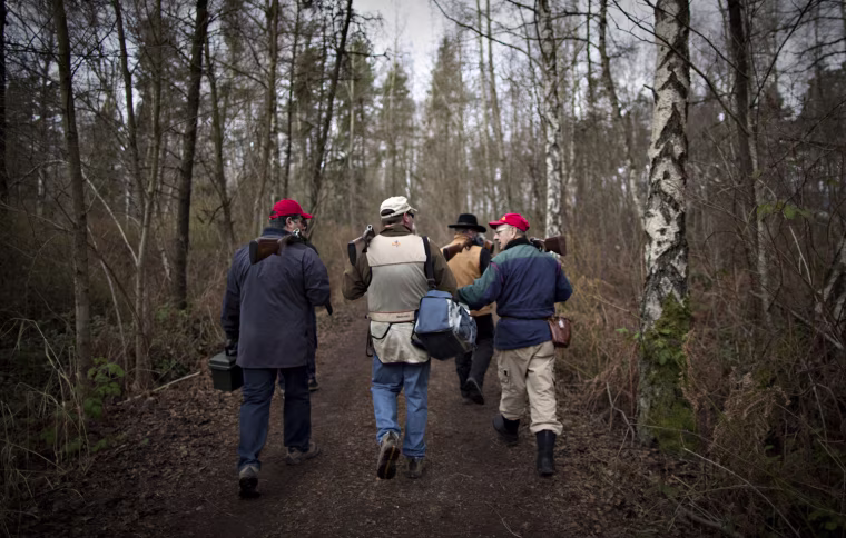 Sporting clays shooters walk through a wooded area to their next position. the game is shot in a group of at least three shooters. One person operates the throwing machine, one is the scorekeeper and the third shoots at the station.