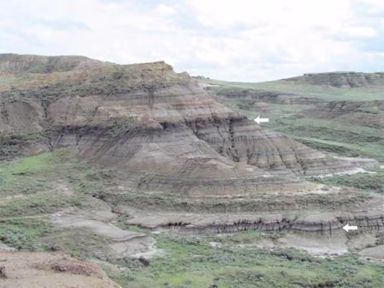 Near Jordan, Mont., rock layers expose the level (lower arrow) where dinosaurs and many other animals and plants went extinct. The arrows point to coal beds that contain thin volcanic ash layers that were dated.