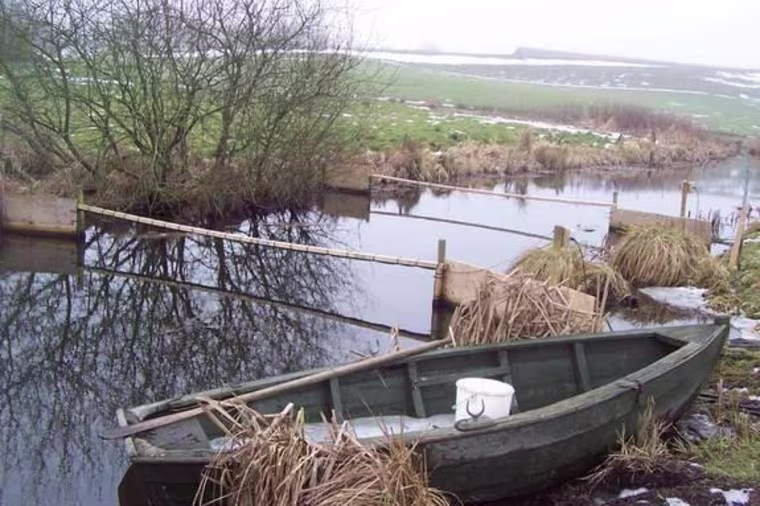 Researchers attached passive integrated transponder tags to more than 2,200 roach fish living in two lakes in Denmark. Then they set up antennas (shown here) to pick up signals from the tags.