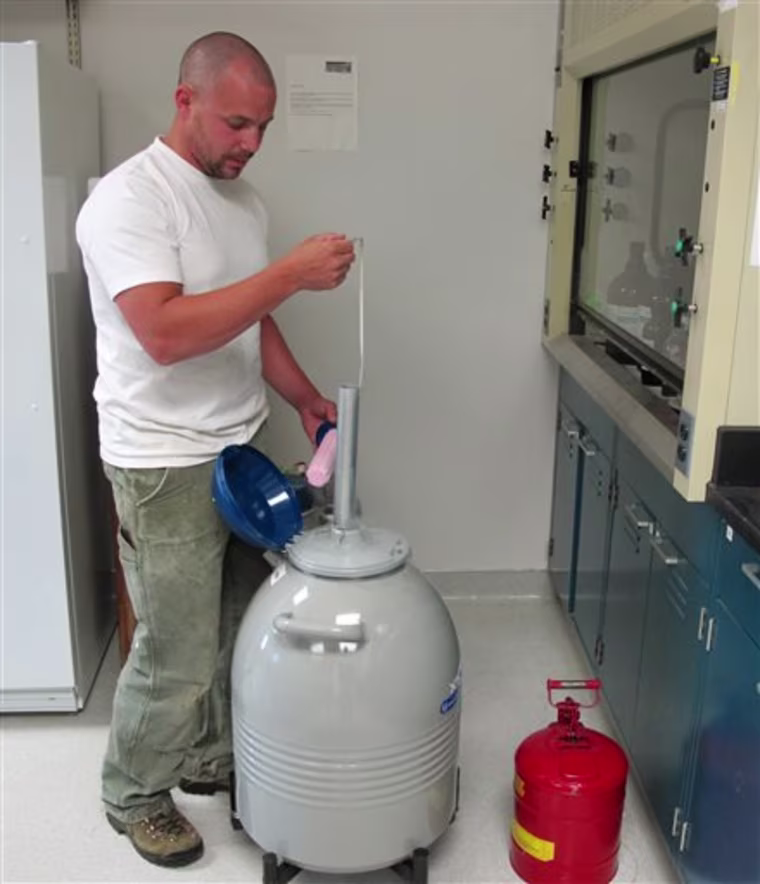 Entomologist Steve Sheppard and his crew are using liquid nitrogen to preserve semen extracted from honey bee drones to preserve and improve the stock of honey bees, and to prevent the subspecies extinction.