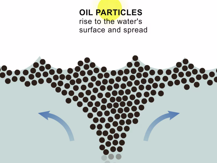 Click for interactives:Learn more about the physics of oil spills and dispersalUSA v. BP: Background on the Deepwater Horizon caseA day-by-day look at the Gulf oil spill's spread