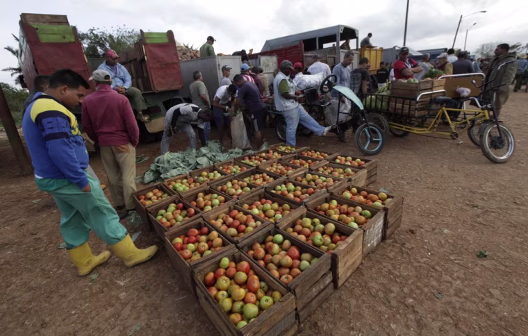 Tomatoes are displayed for sale at a private wholesale market in Havana on March 26.
