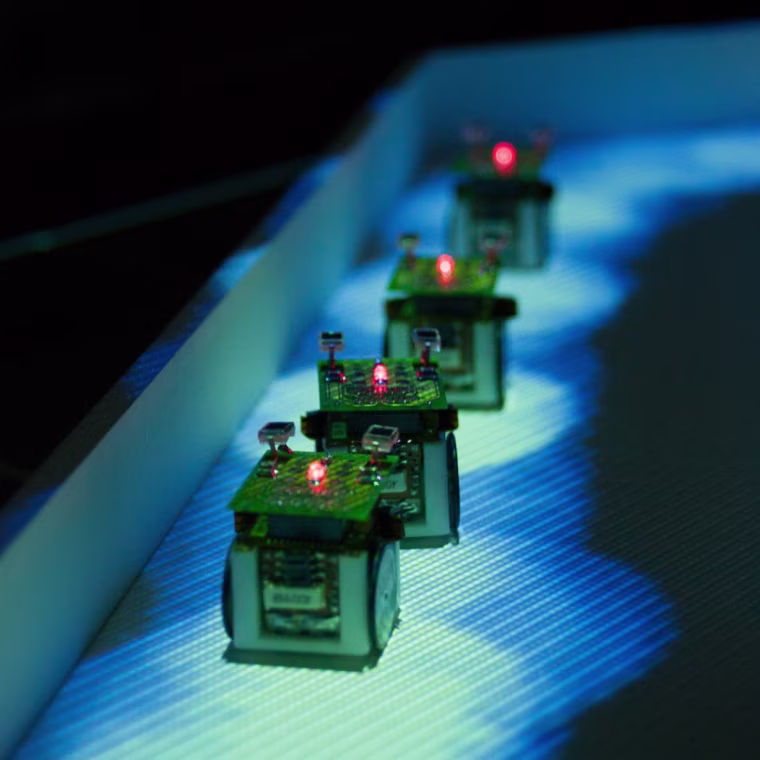 Image of robot ants