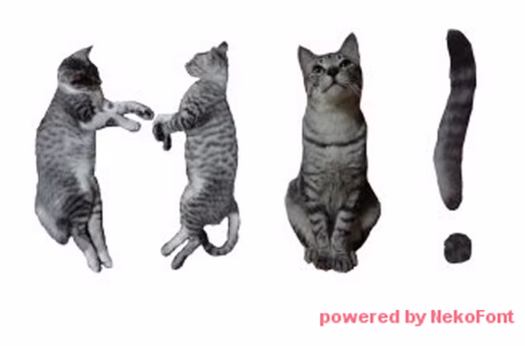 Cat Font