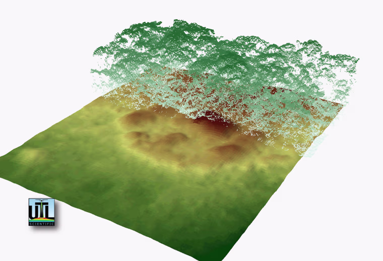 Readings from a laser-mapping system were combined to produce a 3-D map of the Honduran rain forest, and then the vegetation was virtually lifted up from the scene to reveal the ruins of a circular structure.